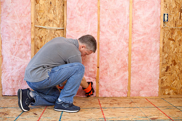 Best Geographic-Specific Insulation Services in Turpin Hills, OH